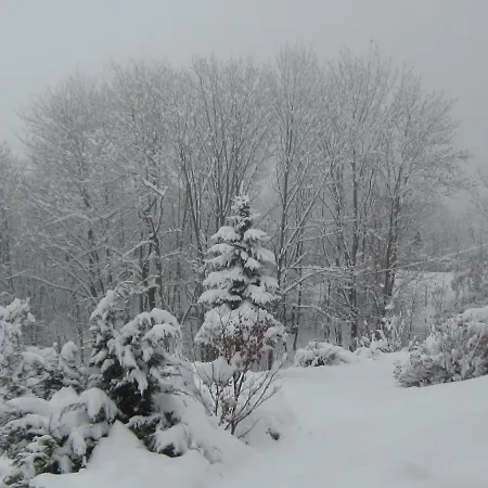 Armona Holiday home *